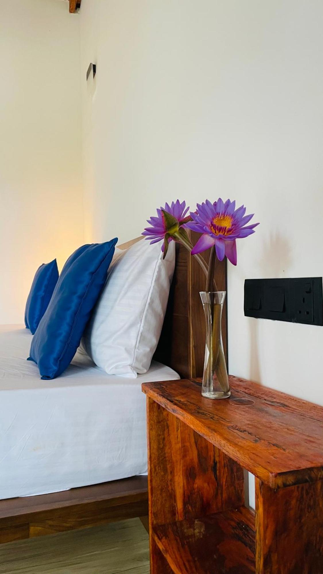 The Point Mirissa Hotel Ngoại thất bức ảnh